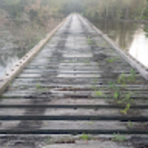 Meet your Posher, Mel